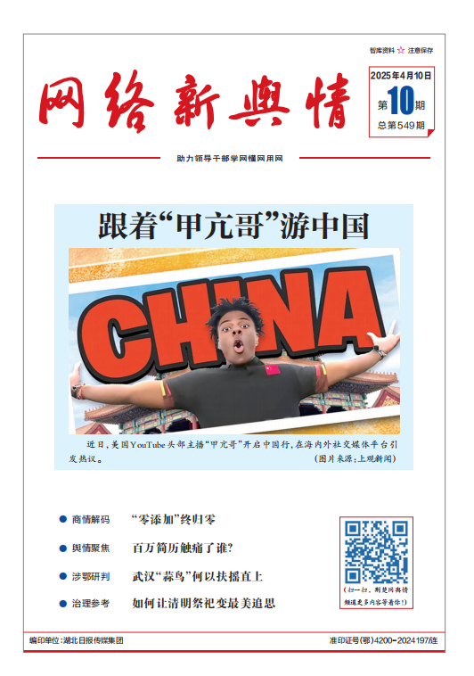 《网络新舆情》2025年第10期